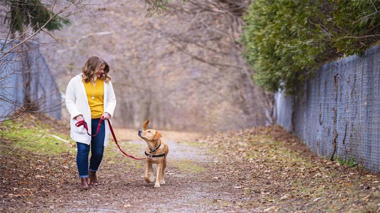 Woman walking her dog with a dog leash and harness.